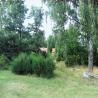 images/Schweden/Schweden 2009/IMG_4401.jpg
